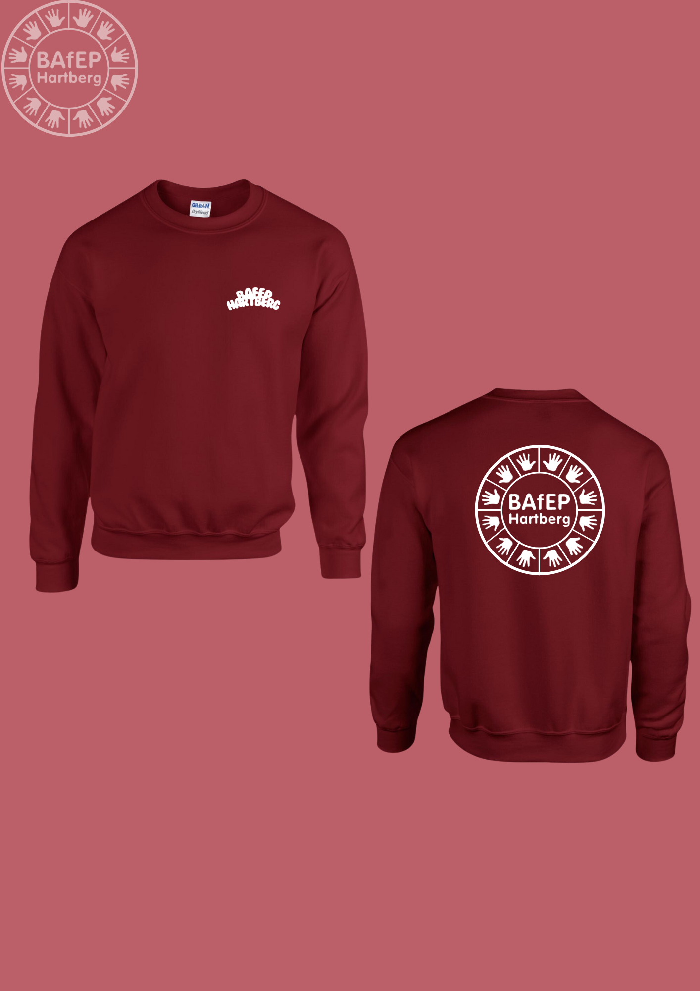 BAFEP Hartberg- Sweater