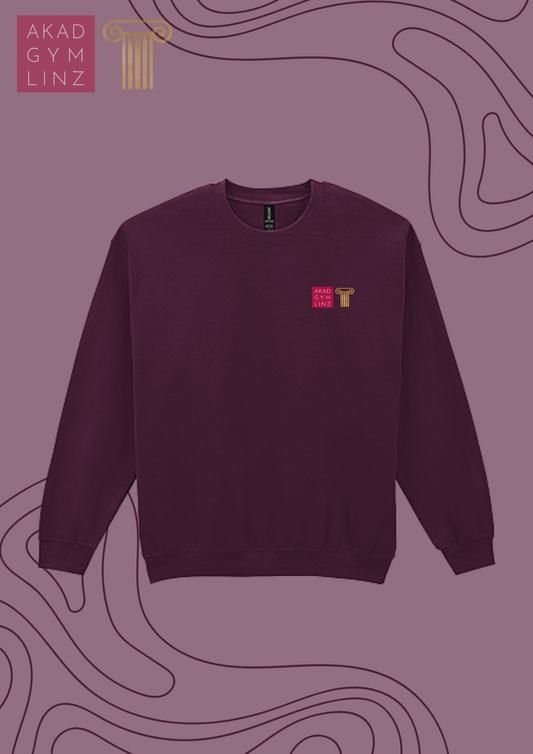 AKAD GYM Linz - Sweater