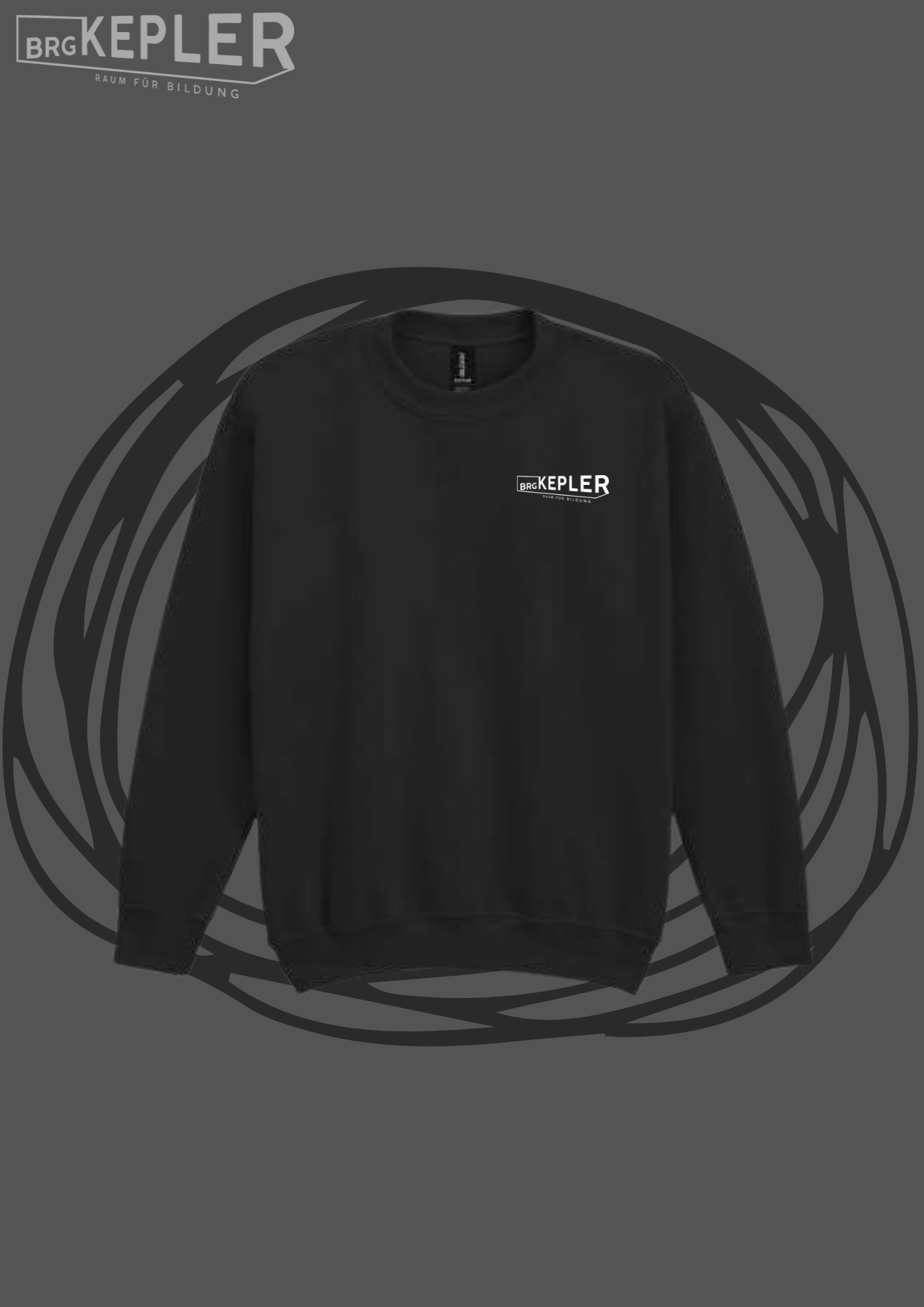BRG Kepler  - Sweater KIDS